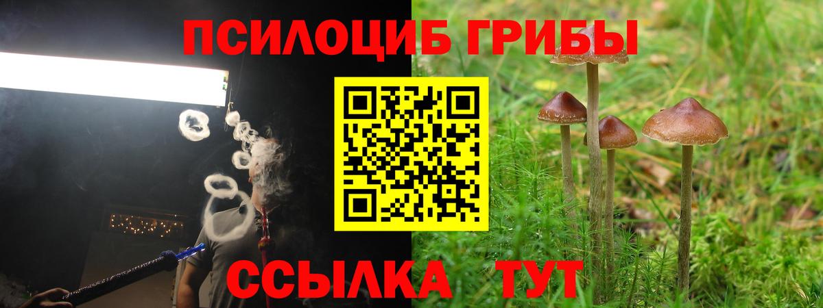 Бийск  Галлюциногенные грибы Cubensis  Вход с VPN 